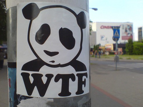 wtfpanda