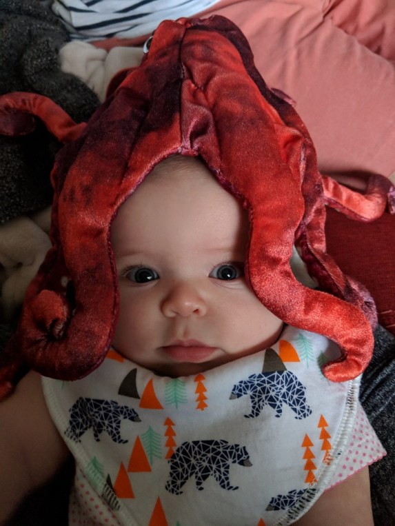 38844009_10160973008325106_5310552307874660352_o